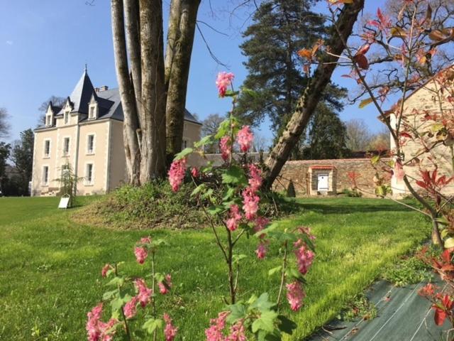 Mouchamps Gite L'Orangerieヴィラ エクステリア 写真